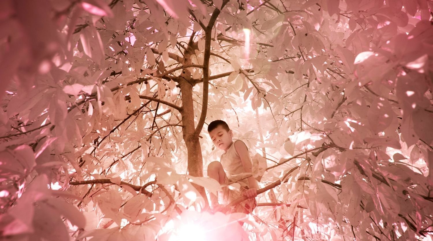 Visiting “The Island of the Colorblind” - Video interview with