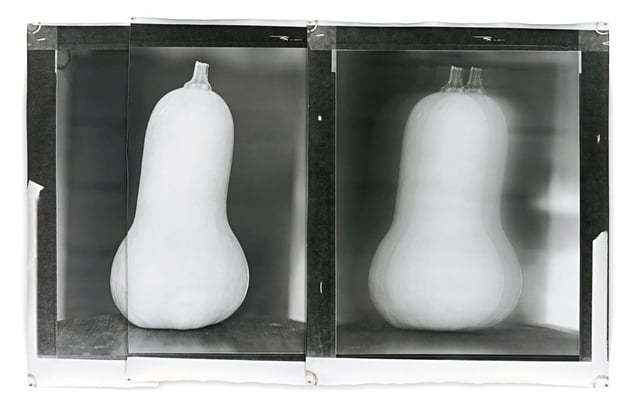 Nature Morte 27, 2012, 152 x 244 cm, Silver Gelatin Print, Mixed Media © Jeff Cowen