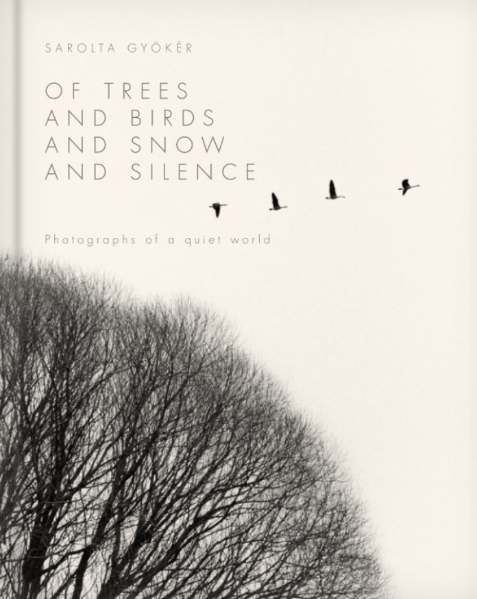 Of Trees and Birds and Snow and Silence -- Photographs of a quiet world