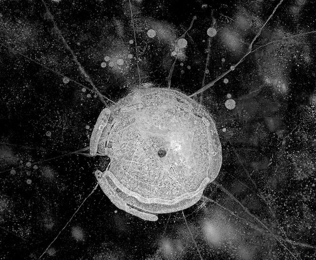 in centro stat omnis virtus, from the series, "Hydrology: Visions in Ice" © 2008 Douglas Capron