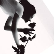 Kate Omely