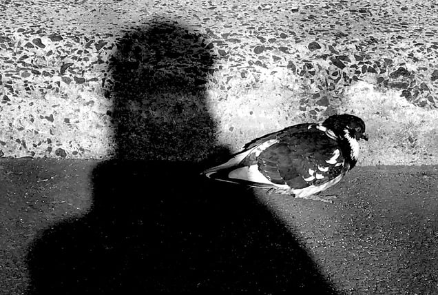 Out of My Shadow