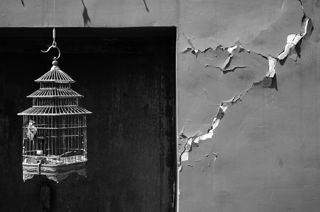 The Way Out
