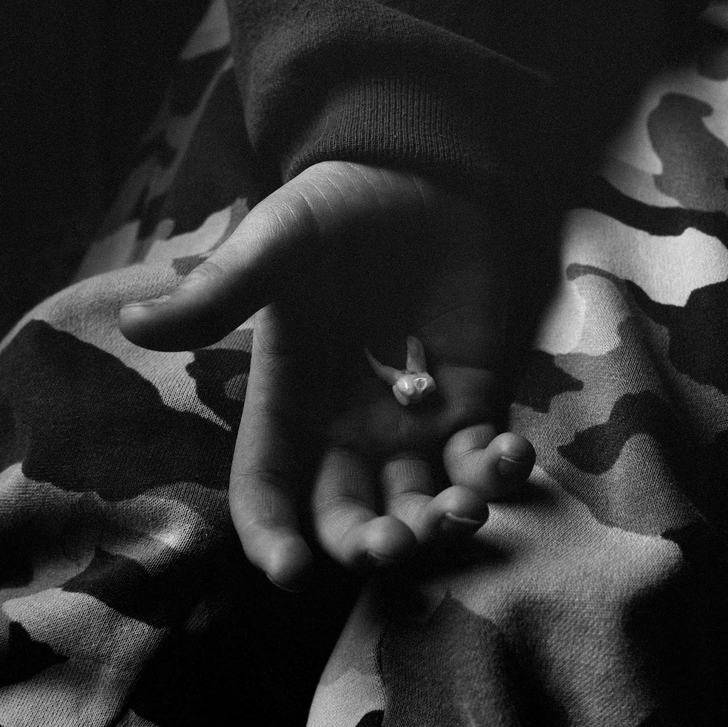 The Seraphim - Photographs by Jesse Lenz | Book review by