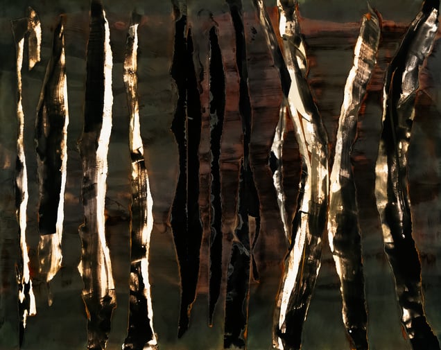 Polarization