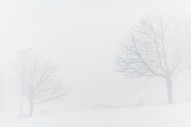 Untitled from "White is not a Colour"