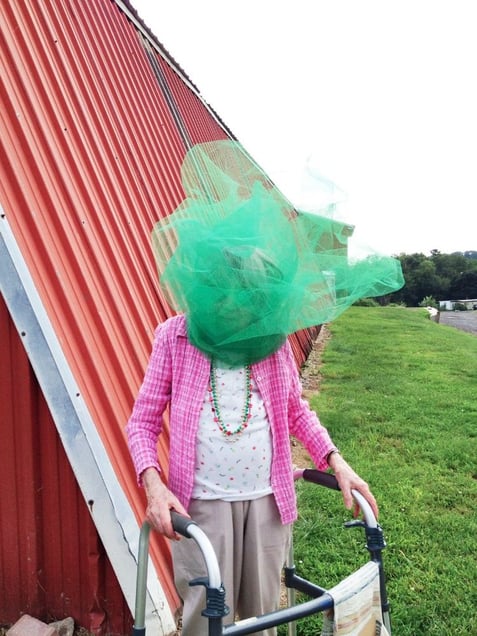 From The Ms. Ulmer Series