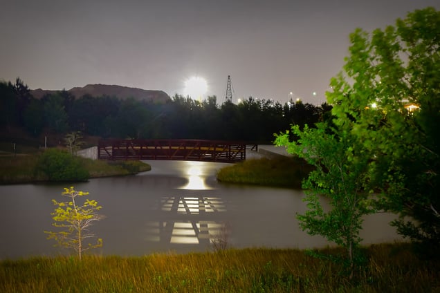 Coexist: Untitled (04D2328_b)