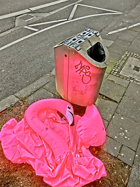 "PRETTY FLAMINGO"