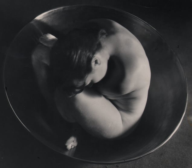 Ruth Bernhard (1905-2006). Embryo, 1934, (print 1955-1960). Reproduced with permission of the Ruth Bernhard Archive, Princeton University Art Museum. © Trustees Princeton University. Courtesy of the Keith de Lellis Gallery.