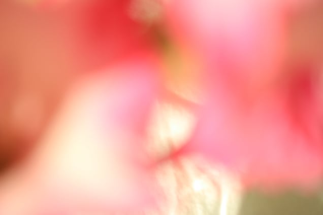 Tenderness