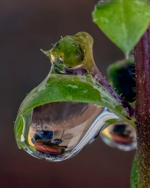 Fluid