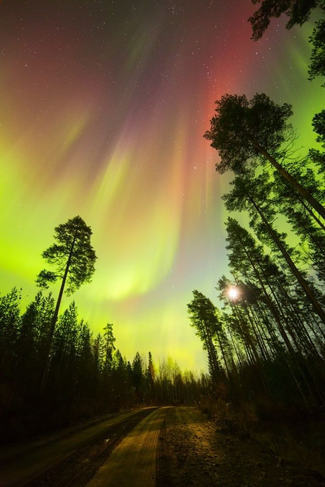 Sovet ayollari va chet elliklar ishtirokidagi porno