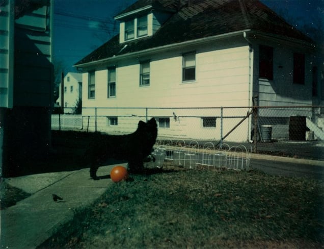 © KesselsKramer Publishing, from In Almost Every Picture #9