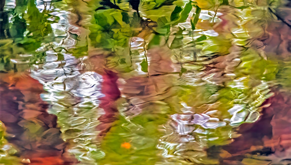 Green Current