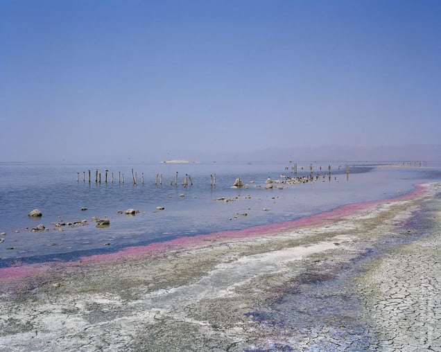 Sea (algal bloom), from the series, Transience © Stephen Chalmers