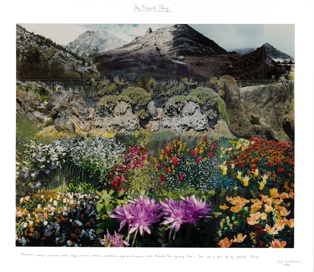 My Favorite Things, 1992. FNAC 99058. Courtesy of the artist and CNAP.