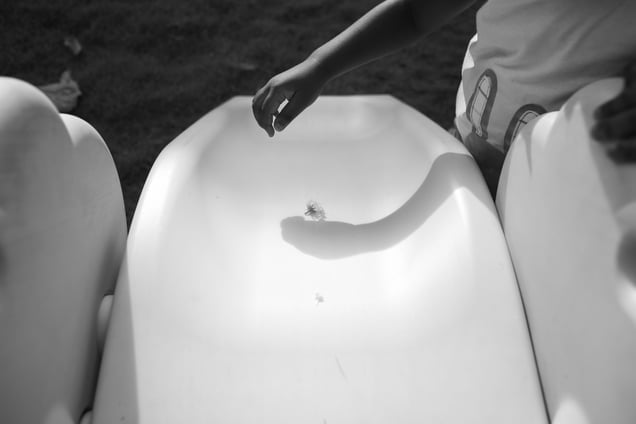 Flower tumbling down