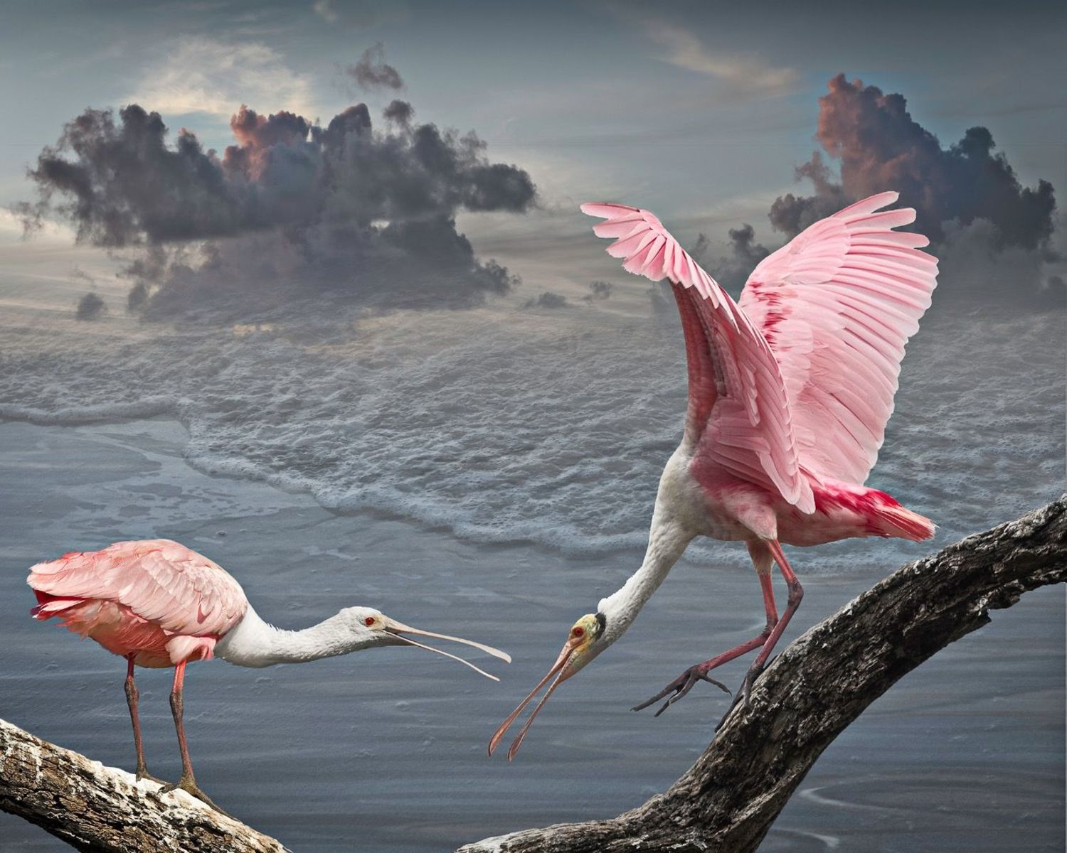 Envisioning Habitat
