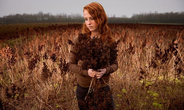 Jeanne, from the series Natural Red Hair © Hanne van der Woude
