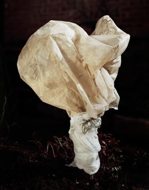 From the series Covered, 2009 © Peter Ainsworth