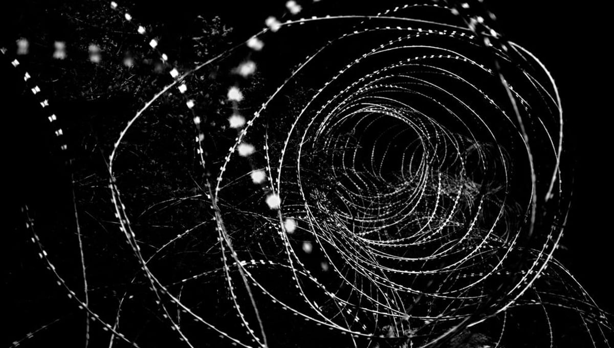 The Vortex