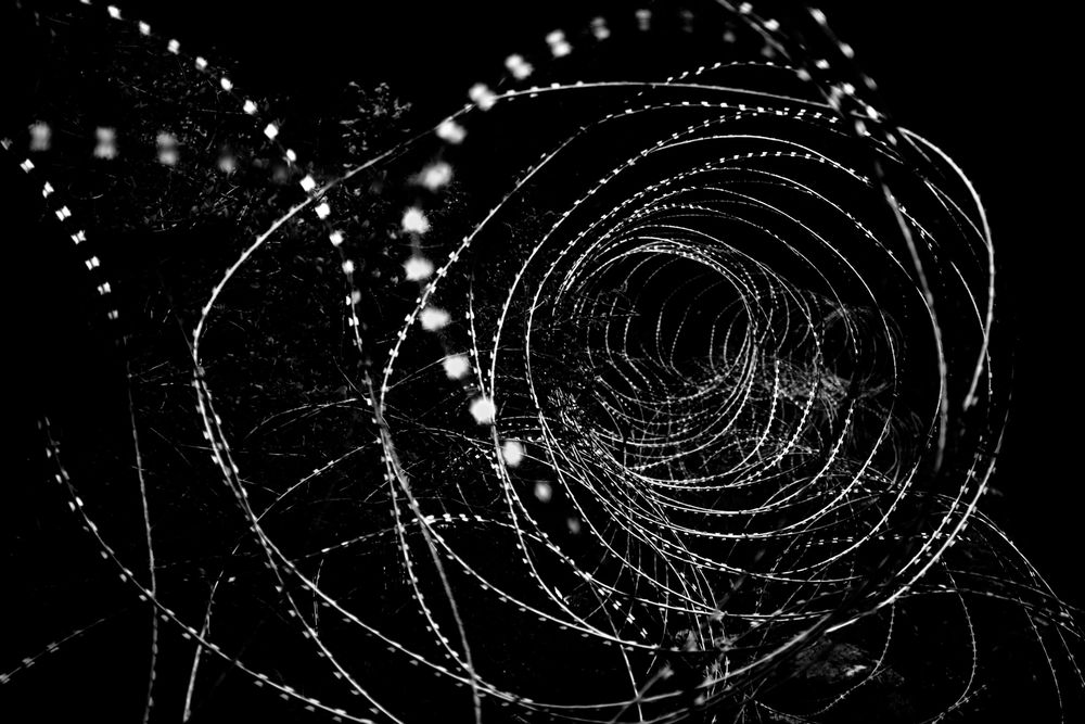 MOB. (Military mobilization)