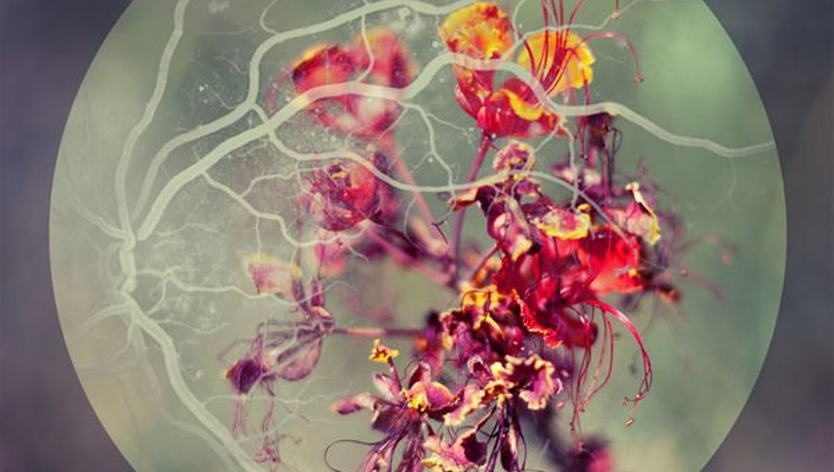 Degeneration © Dayna Bartoli