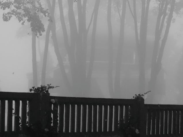 From the series "Ida: Sketches" © Ryszard Lenczewski