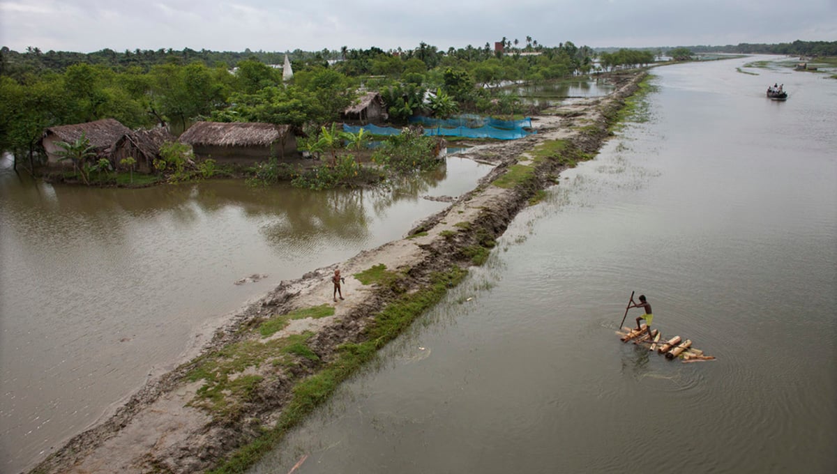 A man steers a banana raft in a flood affected village in Satkhira district.