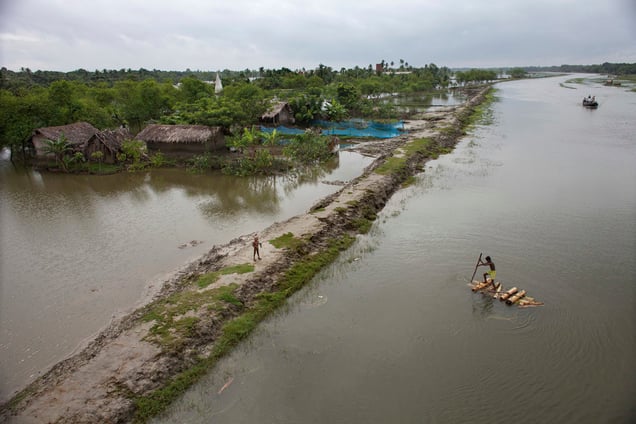 A man steers a banana raft in a flood affected village in Satkhira district.