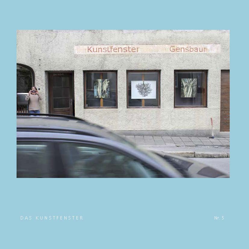Das Kunstfenster Nr. 5, „Triebkräfte der Erde“ 