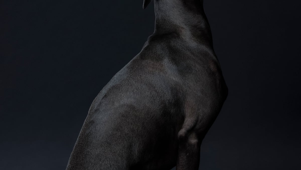 Ralph