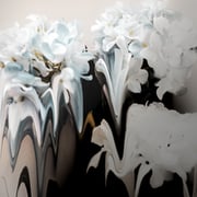 Alina Maclean