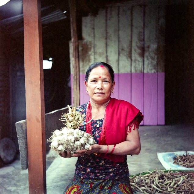 From Taracho, Santamaya Adhikari, 57, sends dried garlic to her mitini, Pansari Gurung, 59, in Naiche. Santamaya lives with her ageing mother-in-law and rarely sees Pansari, but their bond remains strong through exchanging these thoughtful gifts.