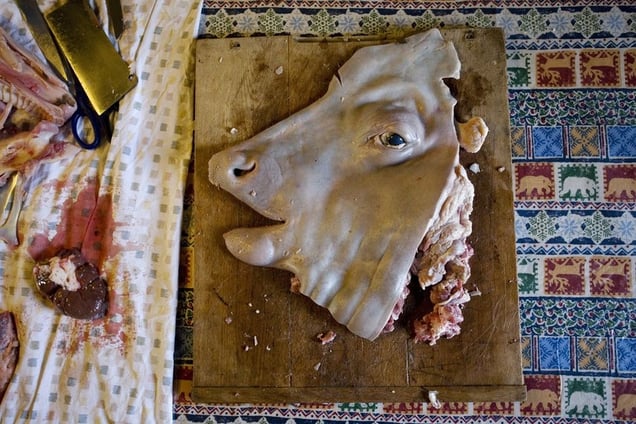 © Danielle Voirin (France) The head of Carole, a cross-bred calf who lived her 5-month-long life on a farm in Normandy, France. She was brought to slaughter in March of 2008. On the day of this photo, her body returned home in boxes and was labeled, frozen, cooked and re-chopped on this kitchen table. Honorable Mention, LensCulture Exposure Awards 2009