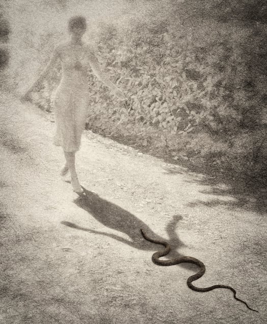 Shadow