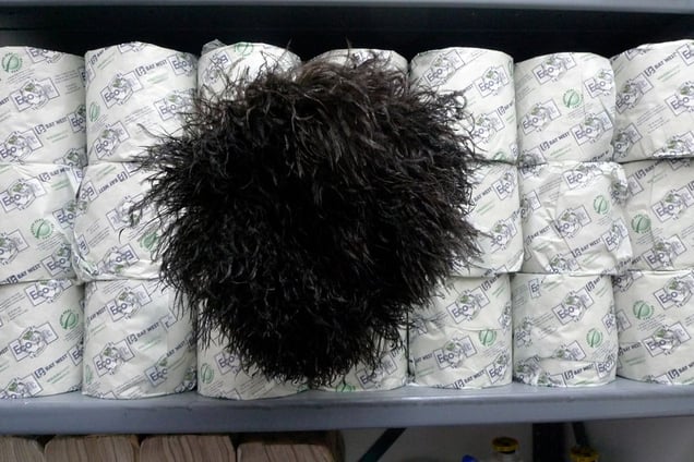 Larry Gagosian's toilet paper © 2010 Christopher Rauschenberg