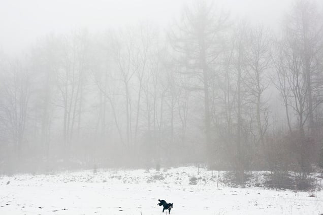 Rüdigershagen, Germany
