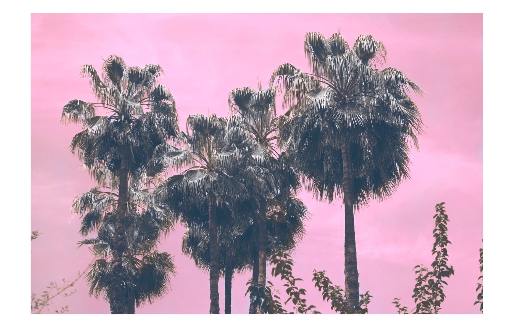 New Dutch Photography Talent: Laura Andalou