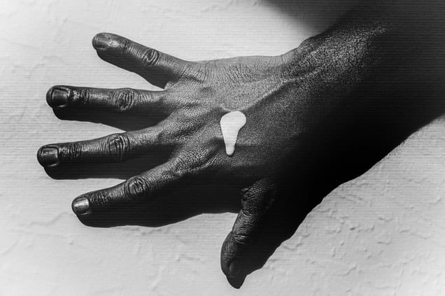 Chaga, 2024 (Wound, 2024)