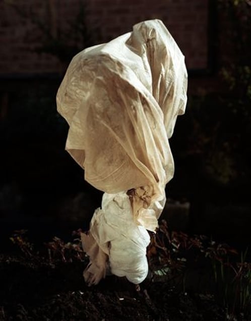 From the series Covered, 2009 © Peter Ainsworth