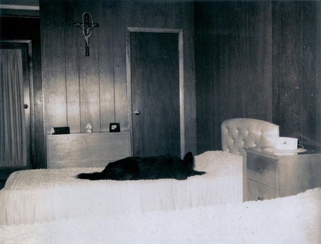 © KesselsKramer Publishing, from In Almost Every Picture #9