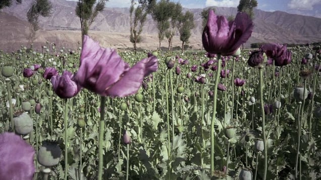 Lens Culture International Exposure Awards 2012, Honorable Mention. © Robert Knoth