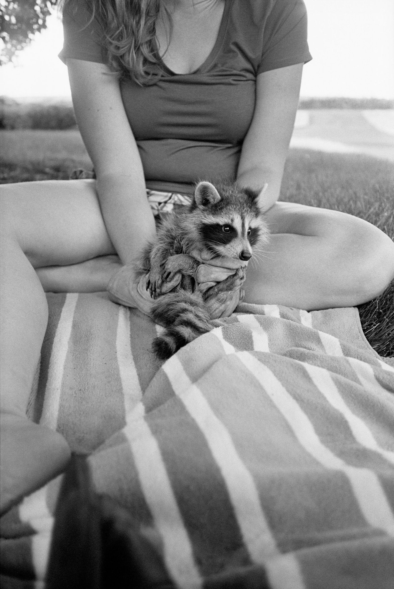 The Seraphim - Photographs by Jesse Lenz | Book review by