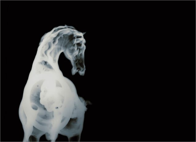 History's Shadow GM3