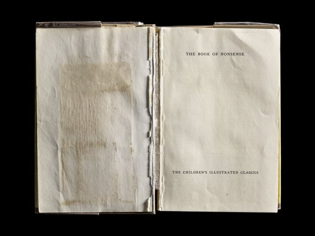 The Book of Nonsense, Interior Front Spread © Kerry Mansfield