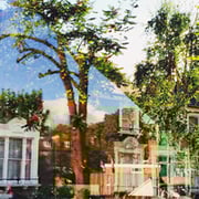 Nicola Jayne Maskrey