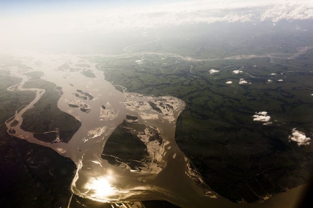 Brahmapoutre © Franck Vogel