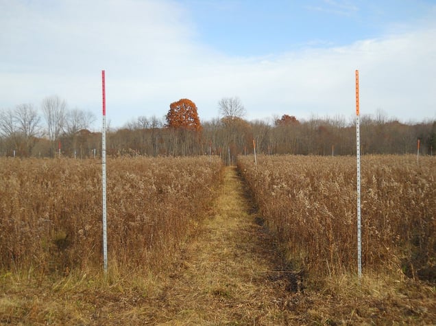 Orange Posts at Vassar Farm